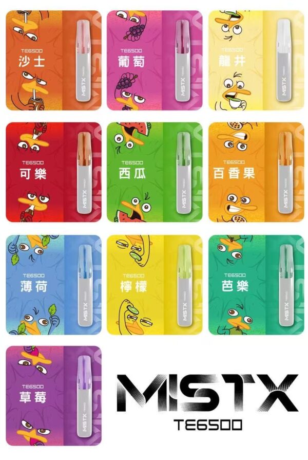 微信客服:sp2good666 MISTX米斯特拋棄式6500口🪄鴨嘴獸天花板🔋泰瑞包裝敲可愛(任選10隻送一隻口味請備註)